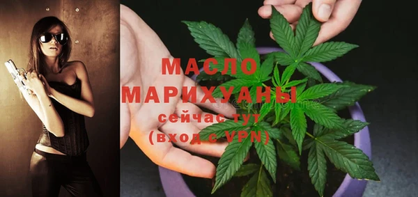 твердый Новодвинск