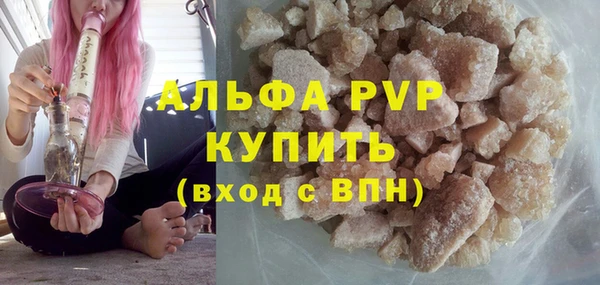 МДПВ Новозыбков