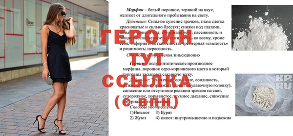 твердый Новодвинск